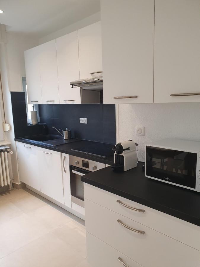 Appartement De Prestige Au Centre Climatise Avec Jardin Prive Κολμάρ Εξωτερικό φωτογραφία