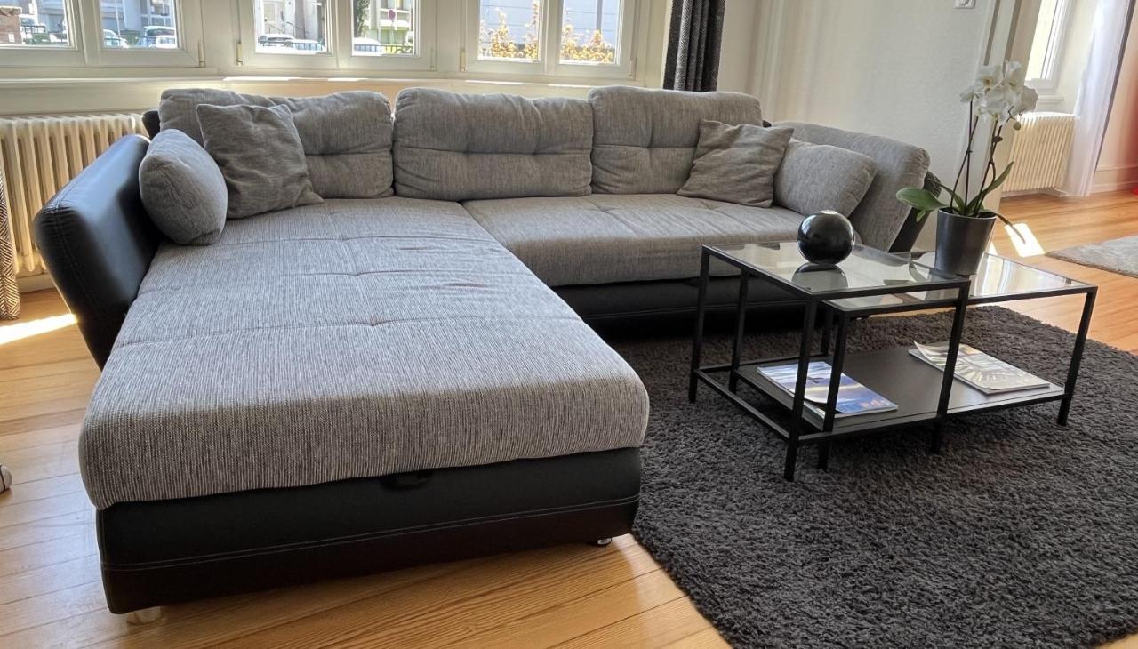 Appartement De Prestige Au Centre Climatise Avec Jardin Prive Κολμάρ Εξωτερικό φωτογραφία