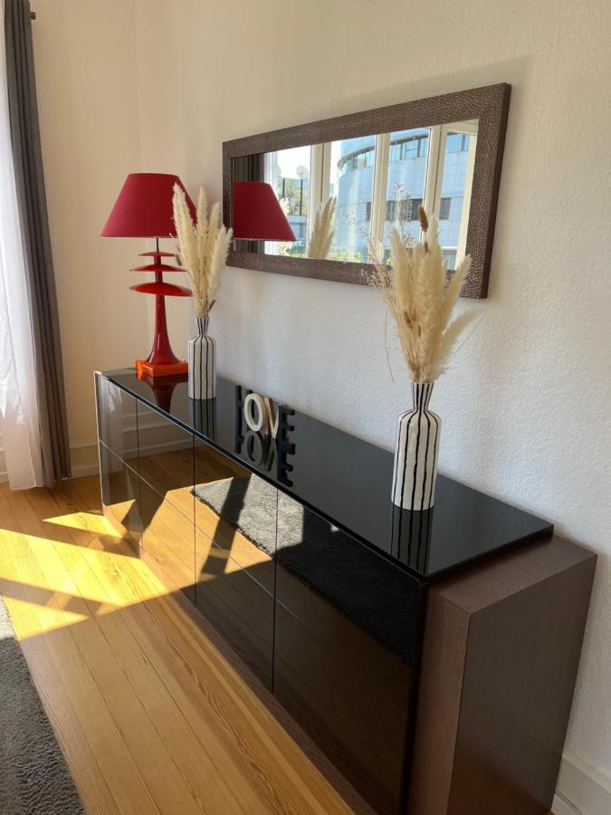 Appartement De Prestige Au Centre Climatise Avec Jardin Prive Κολμάρ Εξωτερικό φωτογραφία
