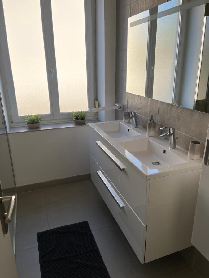 Appartement De Prestige Au Centre Climatise Avec Jardin Prive Κολμάρ Εξωτερικό φωτογραφία