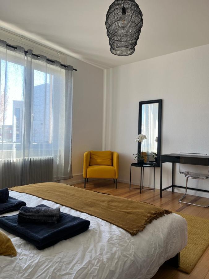 Appartement De Prestige Au Centre Climatise Avec Jardin Prive Κολμάρ Εξωτερικό φωτογραφία