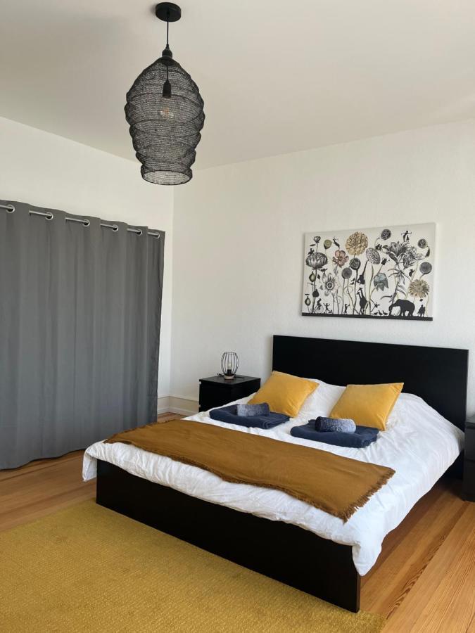 Appartement De Prestige Au Centre Climatise Avec Jardin Prive Κολμάρ Εξωτερικό φωτογραφία