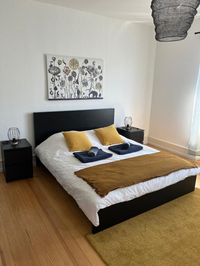 Appartement De Prestige Au Centre Climatise Avec Jardin Prive Κολμάρ Εξωτερικό φωτογραφία
