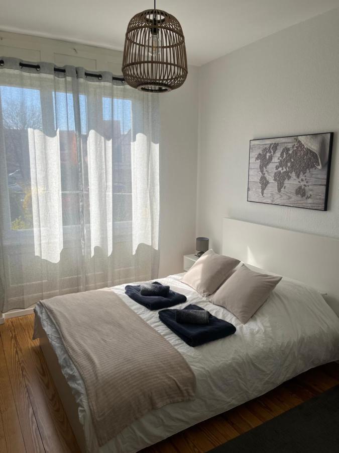 Appartement De Prestige Au Centre Climatise Avec Jardin Prive Κολμάρ Εξωτερικό φωτογραφία