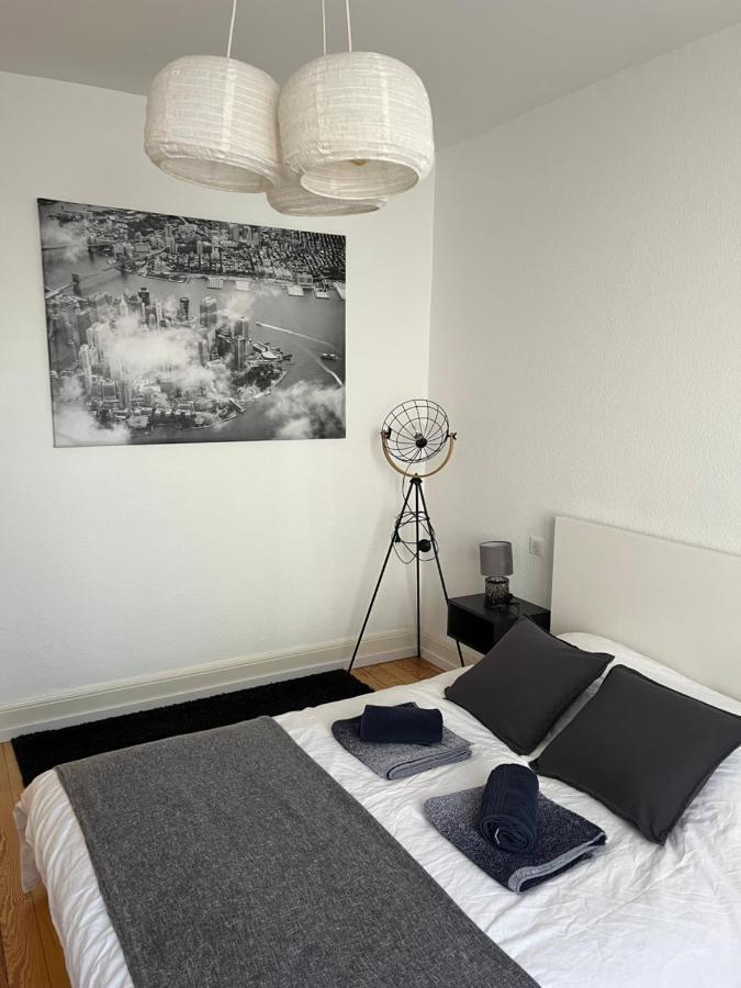 Appartement De Prestige Au Centre Climatise Avec Jardin Prive Κολμάρ Εξωτερικό φωτογραφία